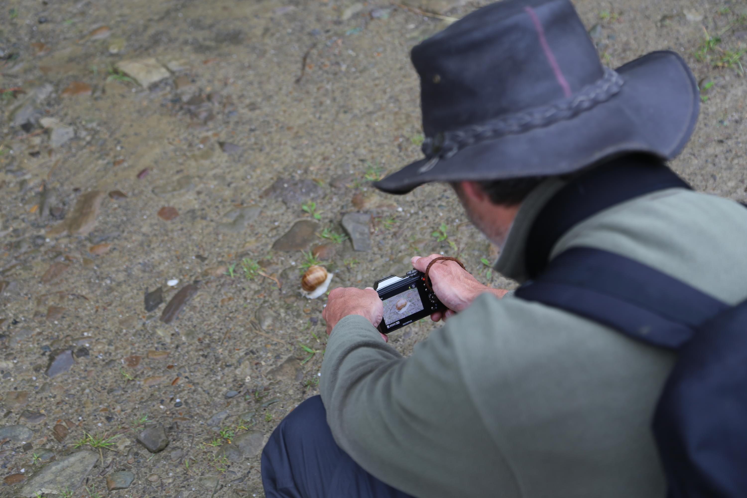 Martin photographing snail